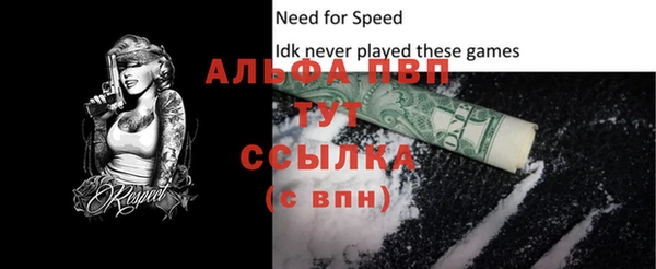 apvp Инта