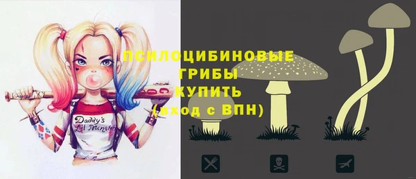 кокс Инсар