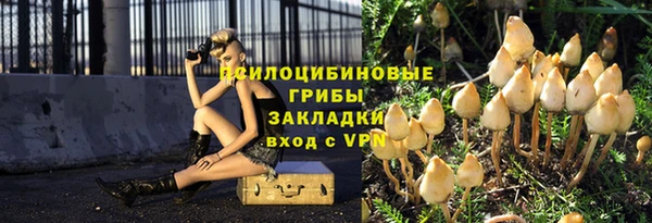 apvp Инта