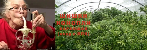 кокс Инсар