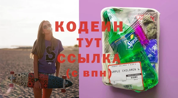 apvp Инта